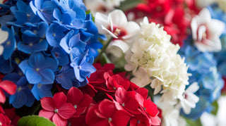 Red, White & Bloom: Your Floral Guide to Patriotic Blooms for 4th of July Celebrations