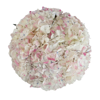 Antique Pink Natural Jumbo Hydrangeas Pink flowers - fresh-cut flowers by Bloomingmore - ideal for weddings and floral events