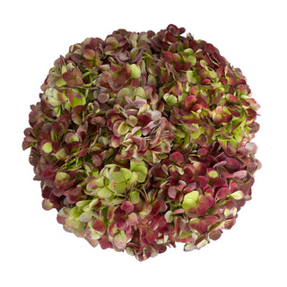 Antique Red Natural Jumbo Hydrangeas Red flowers - fresh-cut flowers by Bloomingmore - ideal for weddings and floral events