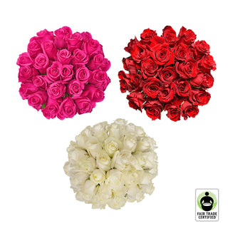 Fair Trade Natural Assorted Roses - 75 Stems Pink roses - fresh-cut roses by Bloomingmore - ideal for weddings and floral events