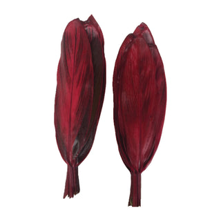 Ti Leaves Red Red flowers - fresh-cut flowers by Bloomingmore - ideal for weddings and floral events