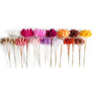 Bunny Tails Mix Assorted Green flowers - fresh-cut flowers by Bloomingmore - ideal for weddings and floral events