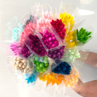 Bunny Tails Mix Assorted Green flowers - fresh-cut flowers by Bloomingmore - ideal for weddings and floral events