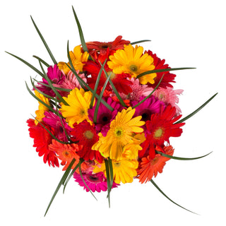 Rainbow Gerbera Bouquet Rainbow flowers - fresh-cut flowers by Bloomingmore - perfect for gifting or decoration
