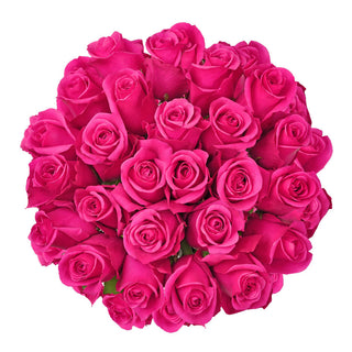 Blooming Boxes, Hot Pink Roses Pink roses - fresh-cut roses by Bloomingmore - ideal for weddings and floral events
