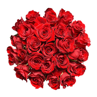 Blooming Boxes, Red Roses Red roses - fresh-cut roses by Bloomingmore - ideal for weddings and floral events