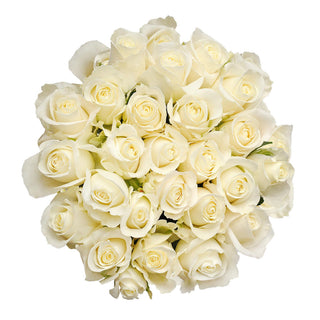 Blooming Boxes, White Roses White roses - fresh-cut roses by Bloomingmore - ideal for weddings and floral events