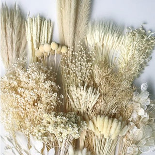 Monochromatic Box Bleached Green flowers - fresh-cut flowers by Bloomingmore - ideal for weddings and floral events