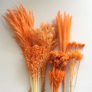 Monochromatic Box Orange Orange flowers - fresh-cut flowers by Bloomingmore - ideal for weddings and floral events