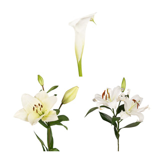 DIY Design Collection - Precious - 135 Stems DIY flowers - fresh-cut flowers by Bloomingmore - ideal for weddings and floral events