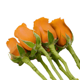 Do It Yourself Wired Orange Roses Red roses - fresh-cut roses by Bloomingmore - ideal for weddings and floral events