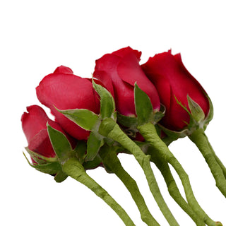 Do It Yourself Wired Red Roses Red roses - fresh-cut roses by Bloomingmore - ideal for weddings and floral events