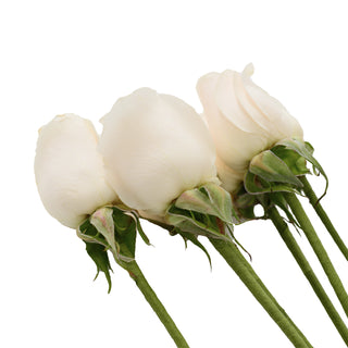 Do It Yourself Wired White Roses Red roses - fresh-cut roses by Bloomingmore - ideal for weddings and floral events