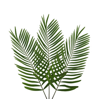 Coontie Fern - 150 Stems Green flowers - fresh-cut flowers by Bloomingmore - ideal for weddings and floral events