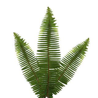 Sword Fern - 150 Stems Green flowers - fresh-cut flowers by Bloomingmore - ideal for weddings and floral events