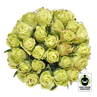 Fair Trade Natural Green Roses - Choose from  25 to 100 Stems Green roses - fresh-cut roses by Bloomingmore - ideal for weddings and floral events