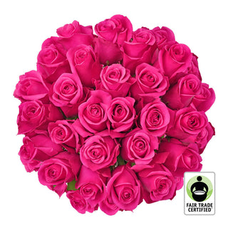 Fair Trade Natural Hot Pink Roses - Choose from  25 to 100 Stems Pink roses - fresh-cut roses by Bloomingmore - ideal for weddings and floral events