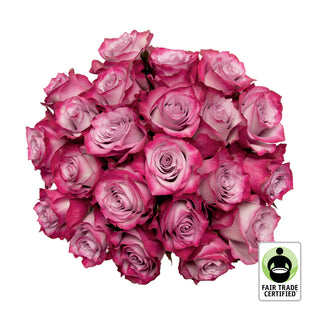 Fair Trade Natural Lavender Roses - Choose from  25 to 100 Stems Lavender roses - fresh-cut roses by Bloomingmore - ideal for weddings and floral events