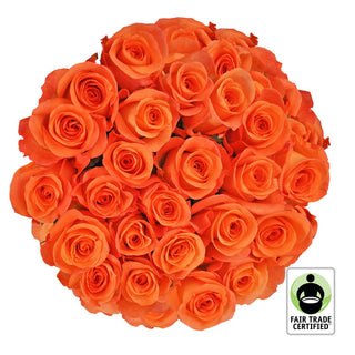 Fair Trade Natural Orange Roses - Choose from  25 to 100 Stems Orange roses - fresh-cut roses by Bloomingmore - ideal for weddings and floral events