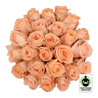 Fair Trade Natural Peach Roses - Choose from  25 to 100 Stems Peach roses - fresh-cut roses by Bloomingmore - ideal for weddings and floral events