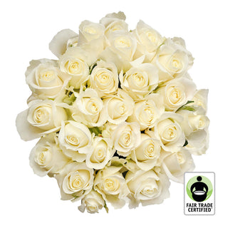 Fair Trade Natural White Roses - Choose from  25 to 100 Stems White roses - fresh-cut roses by Bloomingmore - ideal for weddings and floral events