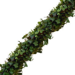 Fresh Handmade Garland - Green Ivy Green flowers - fresh-cut flowers by Bloomingmore - ideal for weddings and floral events