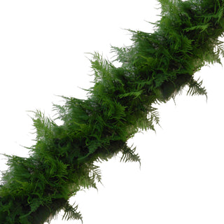 Fresh Handmade Garland - Plumosa Green flowers - fresh-cut flowers by Bloomingmore - ideal for weddings and floral events