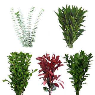 Assorted Eucalyptus, Viburnium, Ruscus, Photinia & Cocculus Combo Box Green flowers - fresh-cut flowers by Bloomingmore - ideal for weddings and floral events