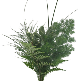Pastorial Greens Bouquet Green flowers - fresh-cut flowers by Bloomingmore - perfect for gifting or decoration