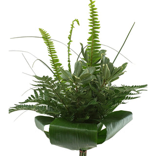 Soho Mixed Greens Bouquet Green flowers - fresh-cut flowers by Bloomingmore - perfect for gifting or decoration