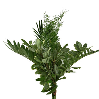 Simple Greens Bouquet Green flowers - fresh-cut flowers by Bloomingmore - perfect for gifting or decoration