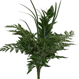Imperial Greens Bouquet Green flowers - fresh-cut flowers by Bloomingmore - perfect for gifting or decoration