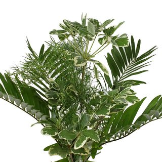 Alluring Greens Bouquet Green flowers - fresh-cut flowers by Bloomingmore - perfect for gifting or decoration