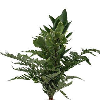 Grandiose Mixed Greens Bouquet Green flowers - fresh-cut flowers by Bloomingmore - perfect for gifting or decoration