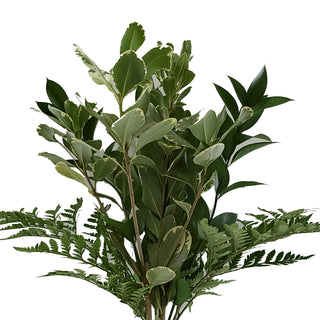 Sovereign Greens Mixed Bouquet Green flowers - fresh-cut flowers by Bloomingmore - perfect for gifting or decoration