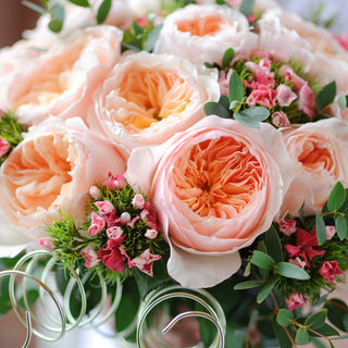 Juliet - David Austin Garden Rose - 36 stems Peach roses - fresh-cut roses by Bloomingmore - ideal for weddings and floral events