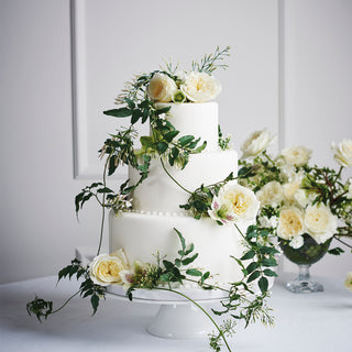 Patience - David Austin Garden Rose - 36 stems Yellow roses - fresh-cut roses by Bloomingmore - ideal for weddings and floral events