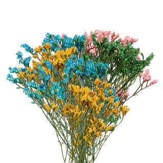 Assorted Tinted Limonium Green flowers - fresh-cut flowers by Bloomingmore - ideal for weddings and floral events