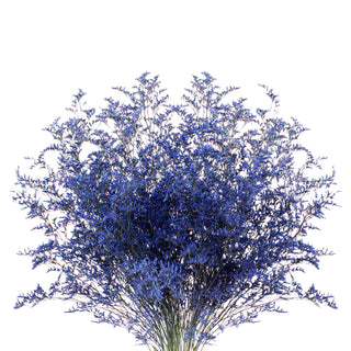 Blue Tinted Limonium - 15 Bunches Green flowers - fresh-cut flowers by Bloomingmore - ideal for weddings and floral events