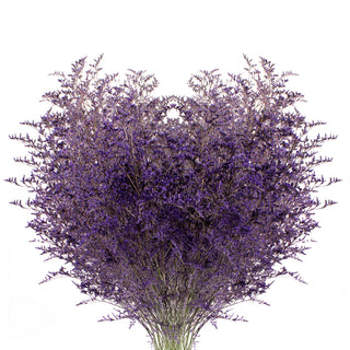 Purple Tinted Limonium - 15 Bunches Purple flowers - fresh-cut flowers by Bloomingmore - ideal for weddings and floral events