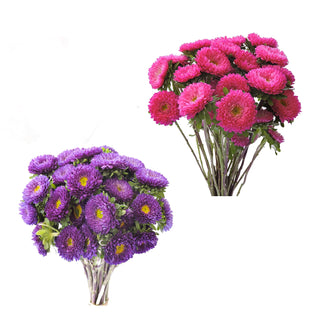 Assorted Color Matsumoto Pink flowers - fresh-cut flowers by Bloomingmore - ideal for weddings and floral events