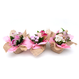 Mini Bouqueto Pink - pack 20 Pink flowers - fresh-cut flowers by Bloomingmore - perfect for gifting or decoration