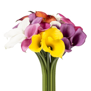 Assorted Color Mini Calla Lilies Assorted flowers - fresh-cut flowers by Bloomingmore - ideal for weddings and floral events