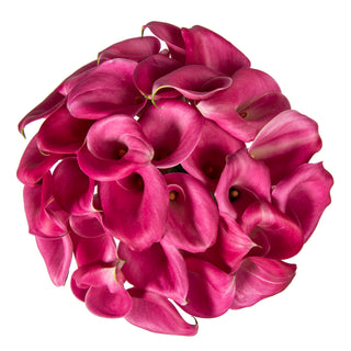 Hot Pink Mini Calla Lilies Pink flowers - fresh-cut flowers by Bloomingmore - ideal for weddings and floral events