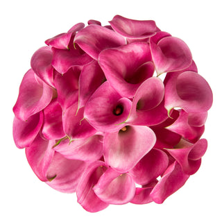 Pink Mini Calla Lilies Pink flowers - fresh-cut flowers by Bloomingmore - ideal for weddings and floral events