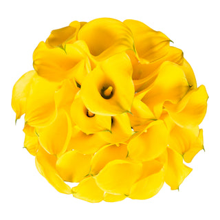 Yellow Mini Calla Lilies Yellow flowers - fresh-cut flowers by Bloomingmore - ideal for weddings and floral events