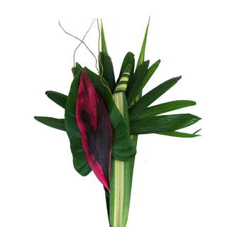 Amazonas Farm Choice Foliage Bunch Amazonas flowers - fresh-cut flowers by Bloomingmore - perfect for gifting or decoration