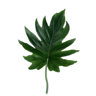 Philodendron Hope Green flowers - fresh-cut flowers by Bloomingmore - ideal for weddings and floral events