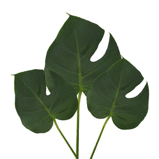 Monstera Leaves  Mini Green flowers - fresh-cut flowers by Bloomingmore - ideal for weddings and floral events