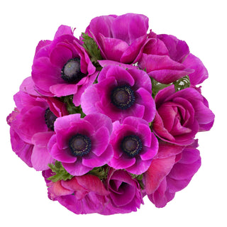 Fucsia Anemones Pink flowers - fresh-cut flowers by Bloomingmore - ideal for weddings and floral events